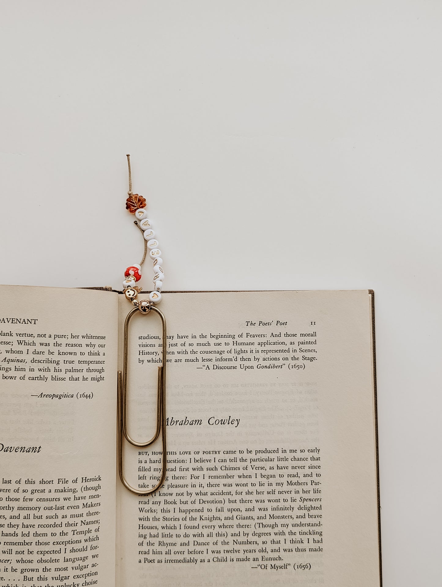 Personalised Paper Clip Bookmarks